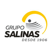 Grupo Salinas